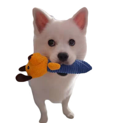 Köpek Ses Evcil Peluş Oyuncaklar Bite Dayanıklı Molar Diş Çıkarma Yumuşak Oyuncak